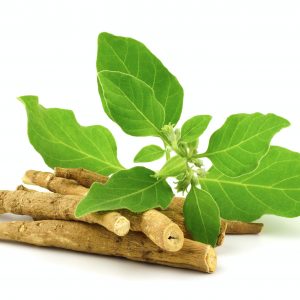 Ashwagandha root with leaves